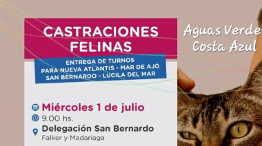 Otorgan turnos para castraciones felinas gratuitas en la Zona Sur