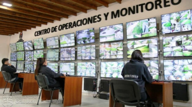 Jugaban Minecraft en lugar de monitorear las cámaras: seis empleados fueron suspendidos en General Madariaga