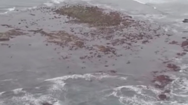 La “isla” que sorprendió frente al Faro de Punta Mogotes: qué es la Restinga del Faro