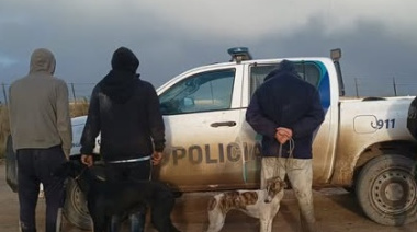 Cuatro hombres fueron imputados por presunta caza ilegal en una zona rural de General Lavalle