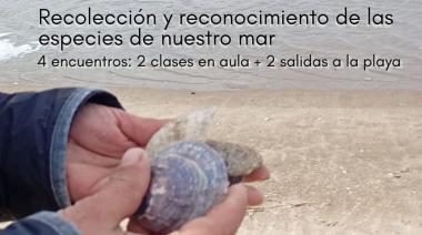 Comienza el curso “El barrio costero”: recolección y reconocimiento de las especies de nuestro mar