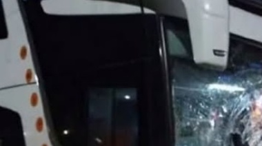 La Justicia condenó a AUBASA por un accidente provocado por un caballo suelto en la Autovía 2