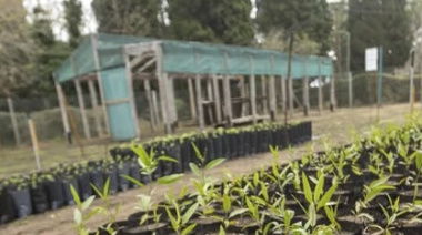 El EcoCanje vuelve a recorrer La Costa: fechas y lugares para intercambiar envases por plantines