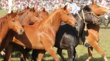 Comenzó la 31ª Gran Fiesta del Talar con siete días de tradición y espectáculos