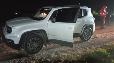Un automóvil chocó contra un caballo suelto en la Ruta 11, a la altura de Las Toninas