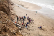 Hallazgo prehistórico en los acantilados de Mar del Plata: descubren restos de un gliptodonte juvenil