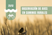 Observación de aves en los caminos rurales de General Lavalle