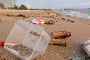 Alerta ambiental: casi el 80% de la basura en playas bonaerenses es plástico