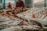 Semana Santa: dónde comprar pescado artesanal en La Costa
