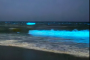 Las noctilucas iluminaron las playas y sorprendieron en San Bernardo