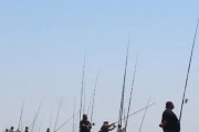 Abrieron las inscripciones para el Gran Torneo de Pesca con casi $50 millones en premios