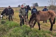 La Costa entregó 18 caballos rescatados a una asociación dedicada a su rehabilitación