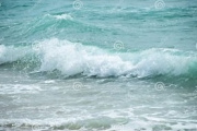 Limpieza de playa, charlas y cine documental en una tarde dedicada a los océanos