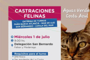 Otorgan turnos para castraciones felinas gratuitas en la Zona Sur