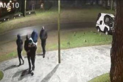 Vandalizaron comercios y robaron en cabañas durante la madrugada en Costa del Este