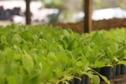 Pinamar y el INTA lanzan un ciclo de talleres sobre producción sustentable y cuidado ambiental