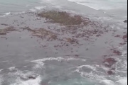 La “isla” que sorprendió frente al Faro de Punta Mogotes: qué es la Restinga del Faro