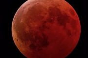 Eclipse lunar parcial: cuándo será y cómo verlo desde Argentina