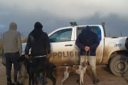Cuatro hombres fueron imputados por presunta caza ilegal en una zona rural de General Lavalle