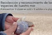 Comienza el curso “El barrio costero”: recolección y reconocimiento de las especies de nuestro mar
