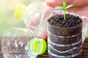 Vuelve el EcoCanje a La Costa: cinco botellas por un plantín