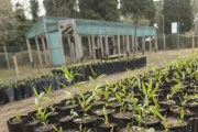 El EcoCanje vuelve a recorrer La Costa: fechas y lugares para intercambiar envases por plantines