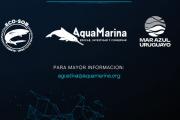Cabo San Antonio: ciencia, usos y conservación se realizará el 23 de septiembre en San Clemente