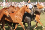 Comenzó la 31ª Gran Fiesta del Talar con siete días de tradición y espectáculos