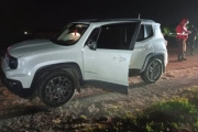 Un automóvil chocó contra un caballo suelto en la Ruta 11, a la altura de Las Toninas