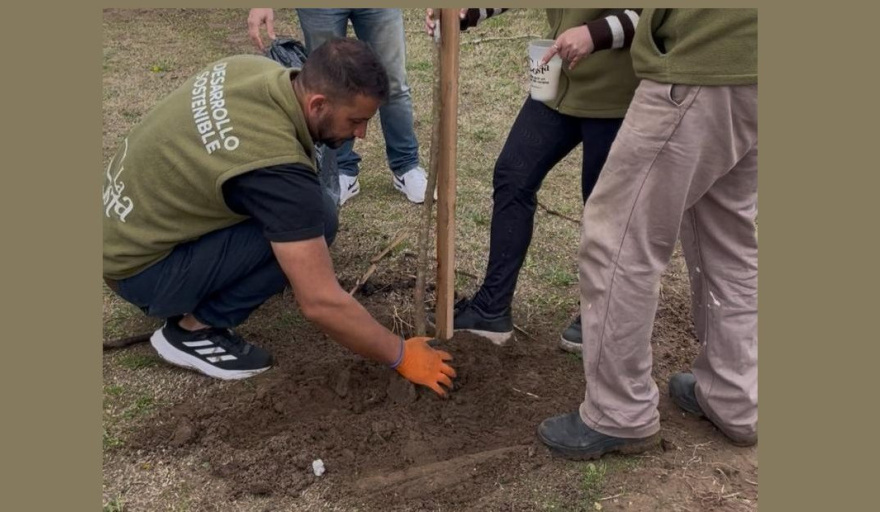 La Costa llega a los 1300 árboles plantados y avanza con una nueva etapa de forestación