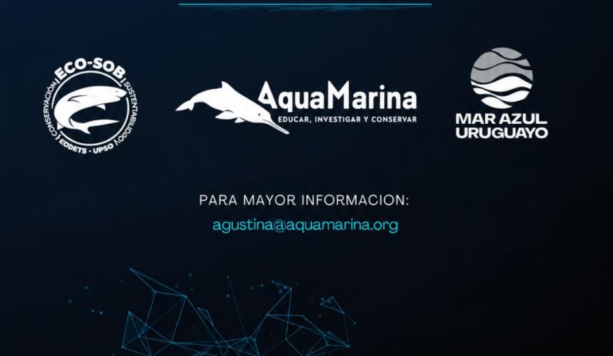 Cabo San Antonio: ciencia, usos y conservación se realizará el 23 de septiembre en San Clemente